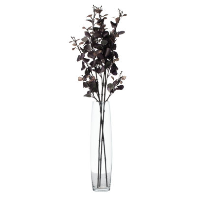Jet d'eucalyptus