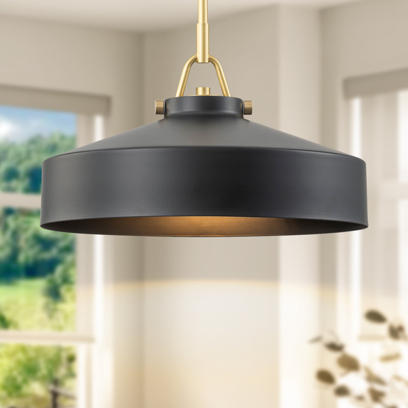 Luminaires suspendus en dôme à 1 lumière de style industriel 15,55 "