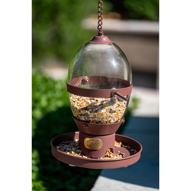 Posted Metal Hanging Decorative Bird Feeder, Aubergine