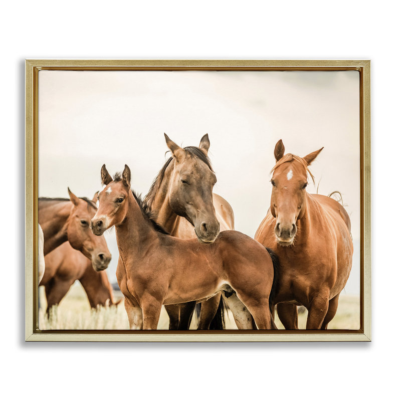 Cheval et poulains, reproduction d'art sur toile, Cadre flottant métallique doré, H 17 po x l 21 po
