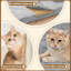 50cm H Cat Tree-1844960188