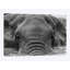 « éléphant partial submerged » par anders jorulf, impression sur toile-31918666-73554196-73554197