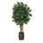 57'' Faux Sakaki Tree in Metal Planter
