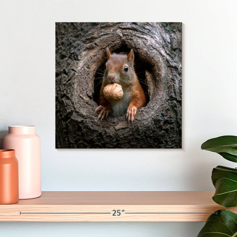 Brampt Squirrel In A Tree Hole