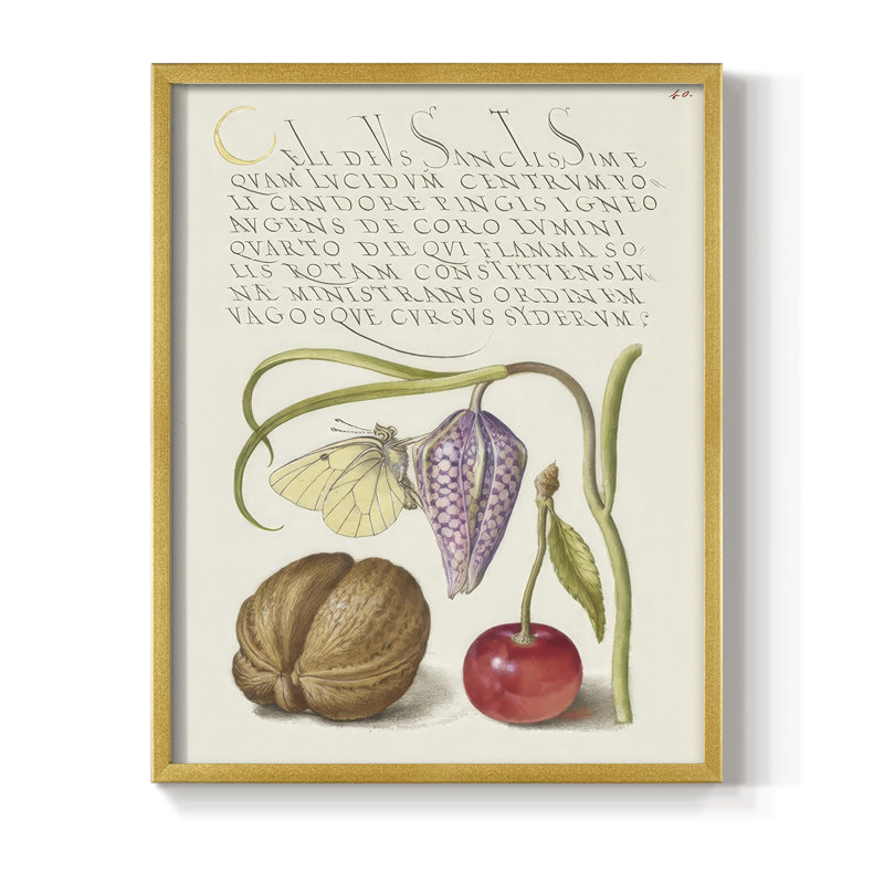 Reproduction encadrée Hoefnagel, spéculations tropicales - bois massif, H 21 po x l 17 po, Doré