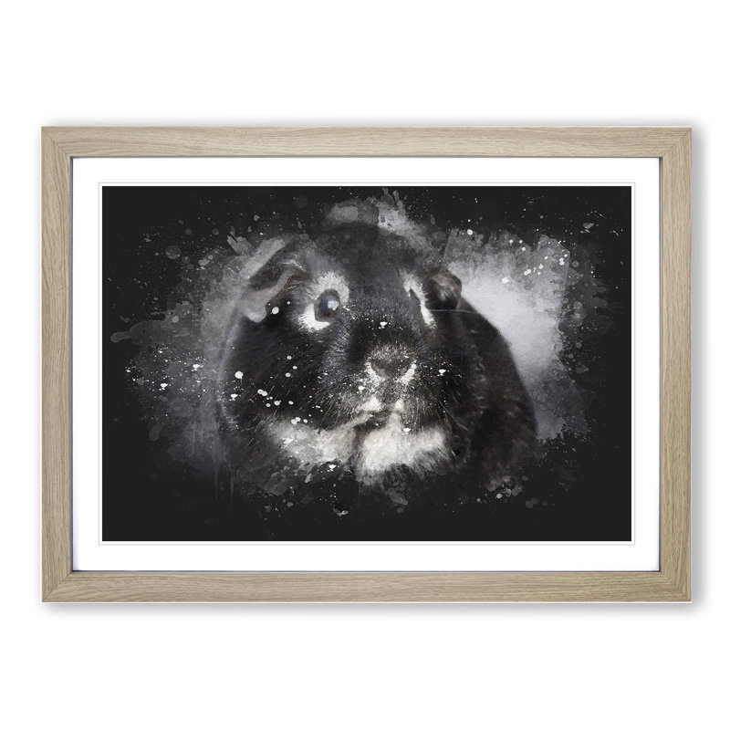 Guinea Pig - Picture Frame Graphic Art, 36cm H x 48cm W x 2cm D, Oak Framed