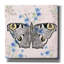 «Moth papier peint carré» par Dean Russo, art mural sur toile-1014168632