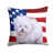 Bichon Frise 1