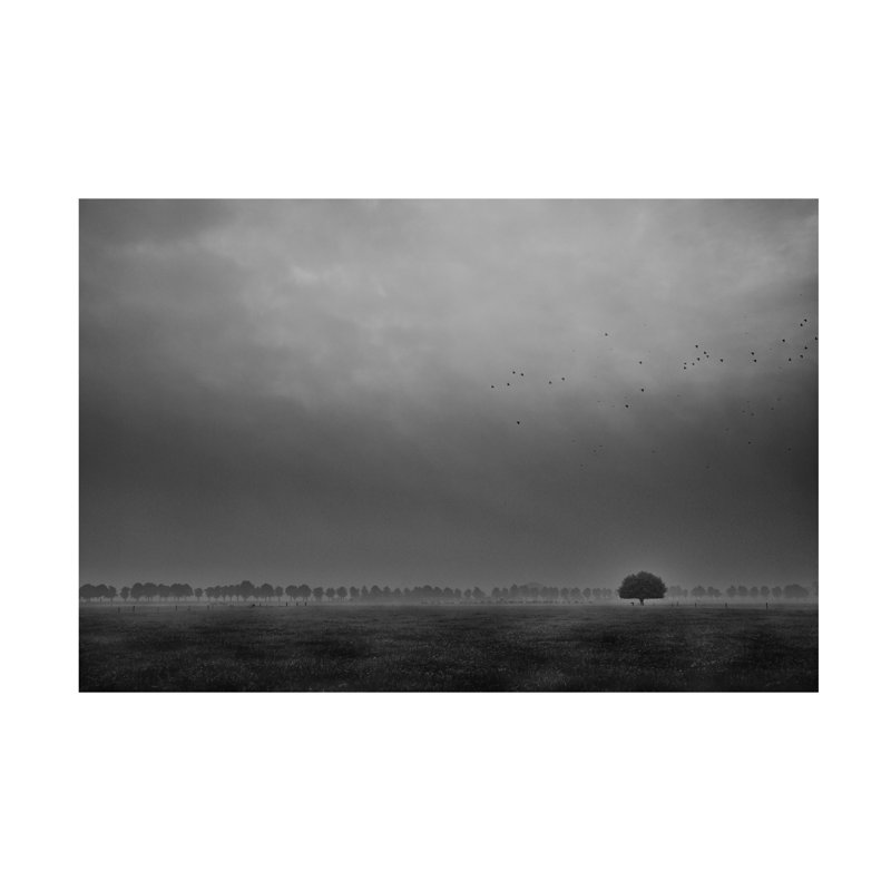 Art sur toile Michiel Hageman, H 12 po x l 19 po
