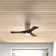 Olivier Ceiling Fan with LED Lights