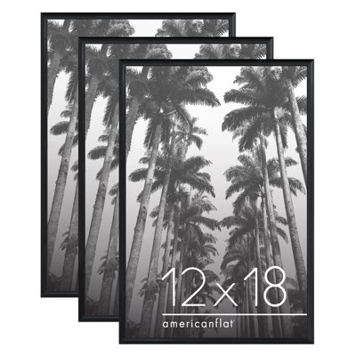 Malaya 3 Pack Lightweight Poster Frames Slide-In Photo Frames with Buildable Moulding