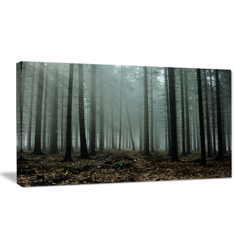 «Gloomy Sunrays in Dark Forest», reproduction de photo sur toile tendue, H 20 po x l 20 po x P 1 po