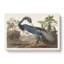 Louisiana Heron - Wrapped Canvas Print-55365324