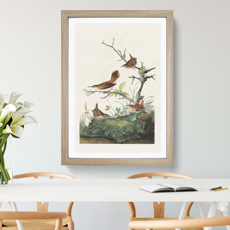 Wrens by John James Audubon - Picture Frame Painting Print, Oak Framed, 65cm H x 48cm W x 2cm D