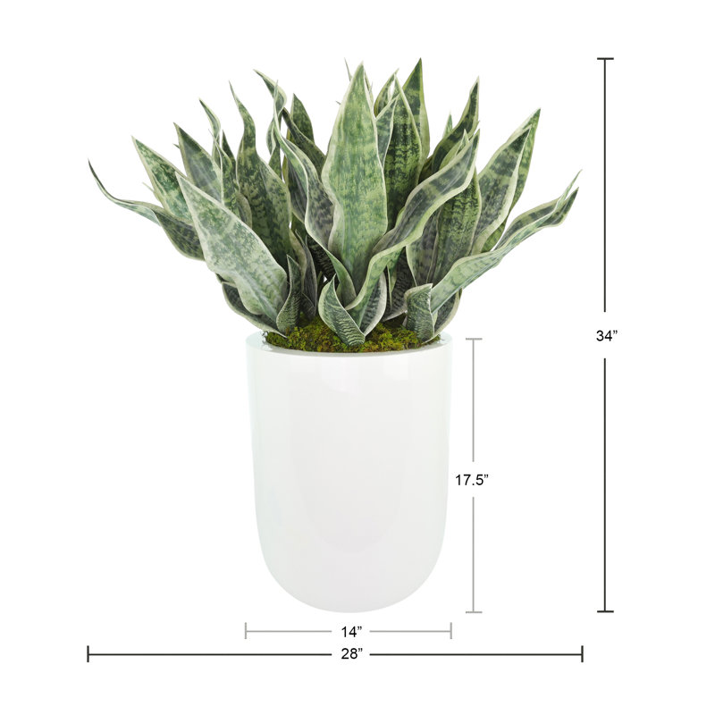 Faux Sansevieria Plant in Fiberstone Planter