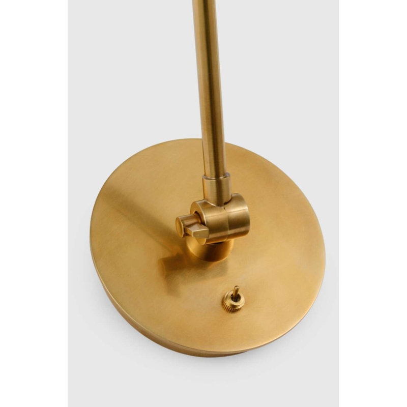 Issa Dimmable LED Wall Mounted Picture Light, Hand Rubbed Antique Brass/Black