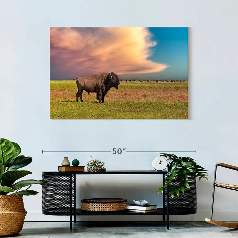 Brampt Badlands Bison, 30" H x 45" W