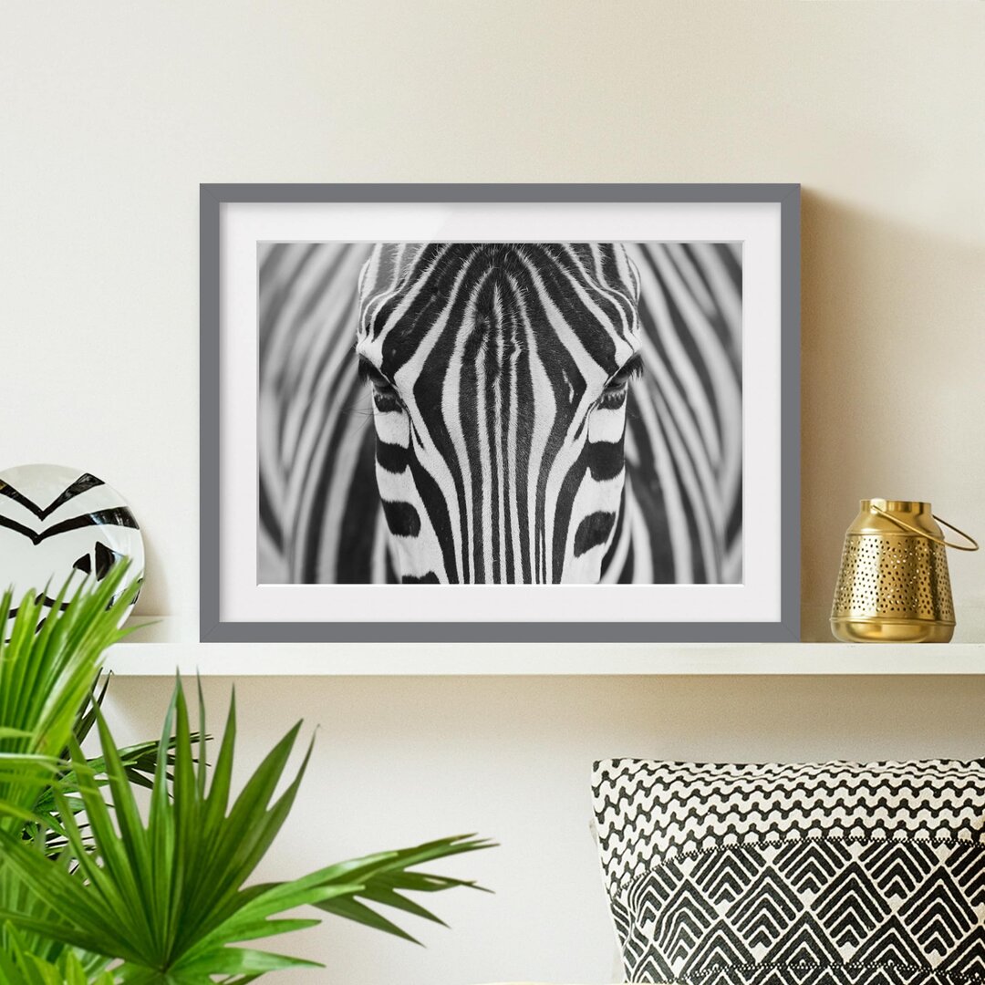 Gerahmtes Poster Zebra Look