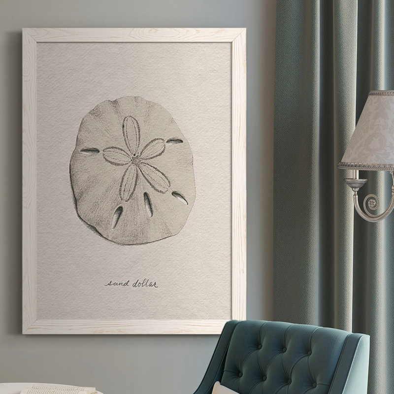 Shore Treasure Study III, reproduction d'art sur toile, Cadre blanc, H 37,5 po x l 27,5 po x P 1 po