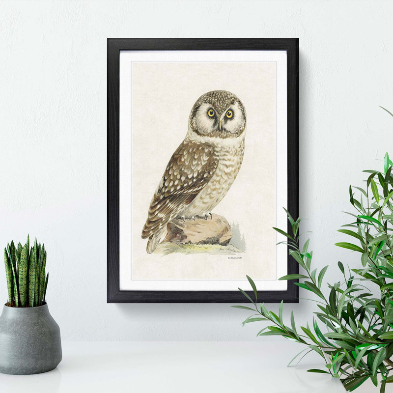 Boreal Owl by Von Wright - Picture Frame Painting Print, 48cm H x 36cm W x 2cm D, Black Framed
