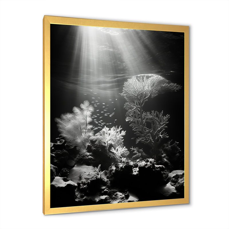 «Black and White Coastal Corals - Beach & Ocean», reproduction sur toile, Cadre photo doré simple