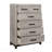 Two-Tone Gray Finish 1pc Bedroom Chest With 5 Storage Drawers Modern Contemporary Furniture