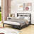 Metal Platform Bed with 2 Drawers-1514307474