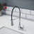 Lulani Bora Bora Pull Down Single Handle Kitchen Faucet-56967359