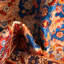 Tapis oriental bleu marine / rouge / orange-1851987115