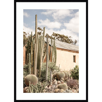 Daisey "Karoo Garden 02" Print