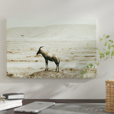 « africain plains iv », reproduction de photo sur toile