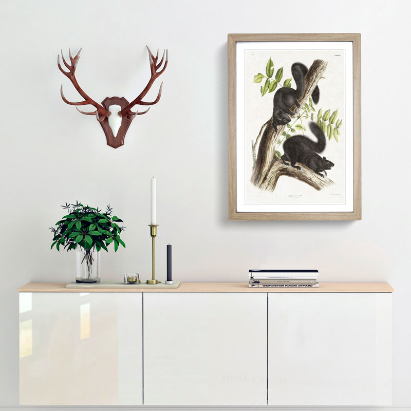 Black Squirrels by J.W. Audubon - Picture Frame Art Print, Oak Framed, 48cm H x 36cm W x 2cm D