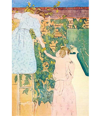 " Picking Fruit " by Mary Cassatt
