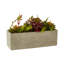 Sydnee 19cm Succulent in Cement Planter