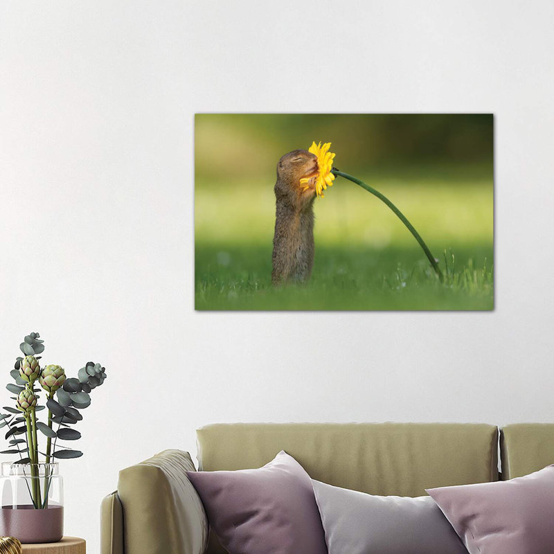 Smells Like Summer by Dick Van Duijn - Wrapped Canvas Print, 101.6 cm H x 66.04 cm W x 3.175 cm D