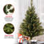The Holiday Aisle® 3ft. Kincaid Spruce Tree with Clear Lights