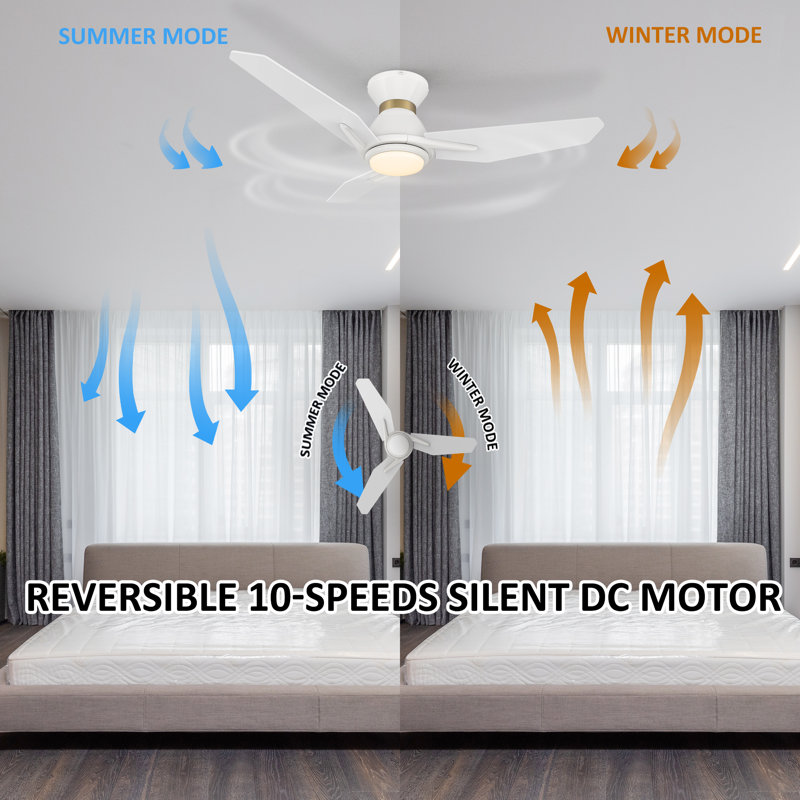 Behrend 44'' Ceiling Fan with LED Lights