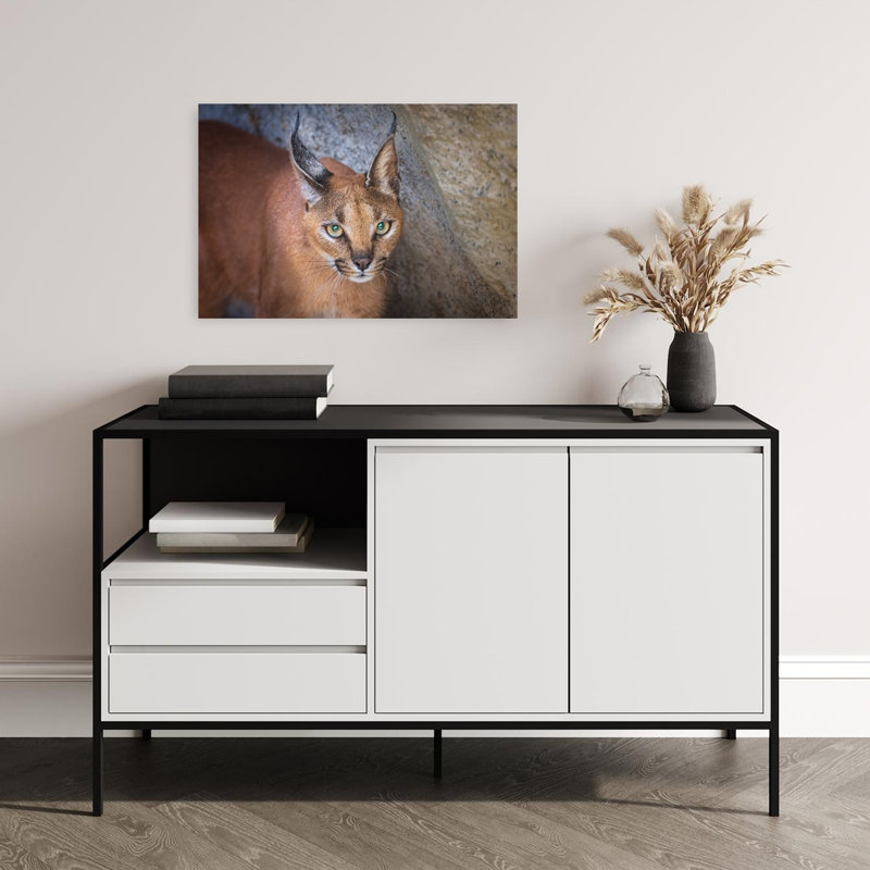 Caracal'S Watchful Gaze Contemporary Cat Wall Art Print by Jeffrey C. Sink - 1 Piece Wrapped Canvas Wall Art