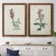 Toile encadrée de qualité supérieure Traditional Botanical I - prête à être accrochée-1517760080-1517760104
