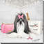 Fashionista Shih Tzu (Square) par By Jodi - impression-242662756-242662753