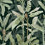 Borneo Emerald Wallpaper-238321740