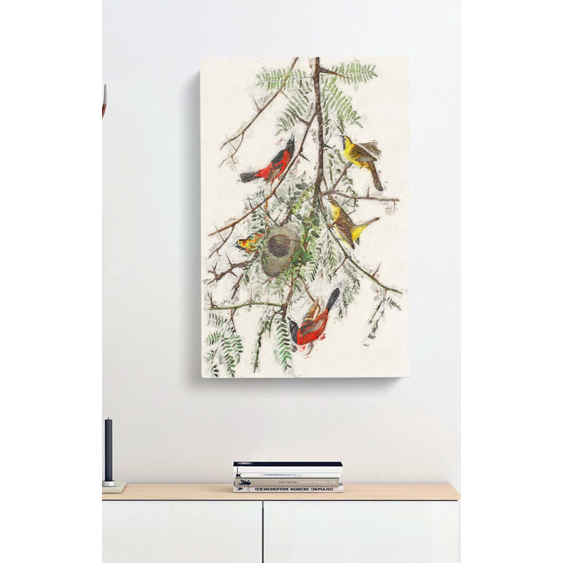 Orchard Oriole by John Audubon - Wrapped Canvas, 60cm H x 40cm W x 3cm D