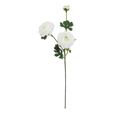 Arrangement