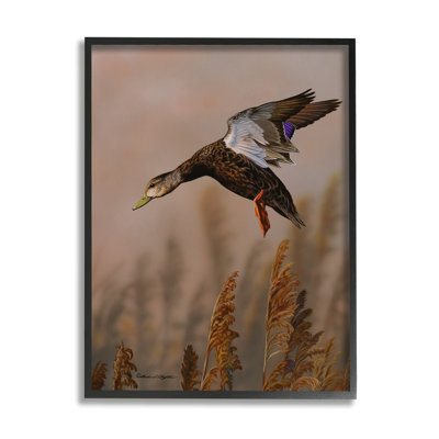 «Duck Flying» par Richard Clifton