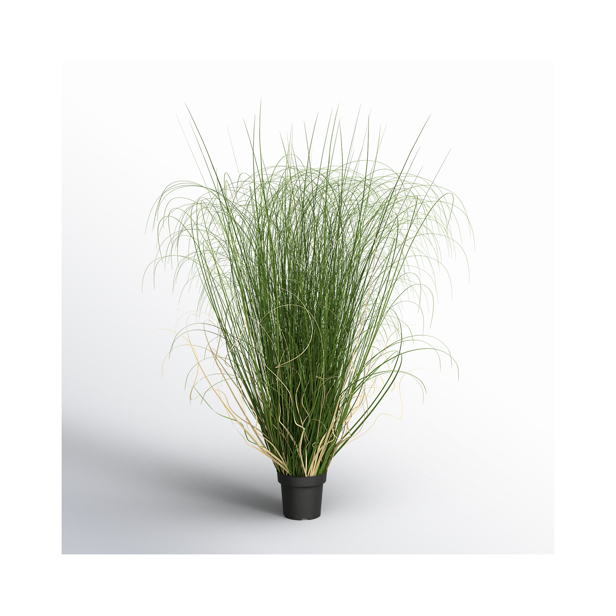 PVC Artificial Potted Green Curled Grass, 60" H x 30" W x 30" D