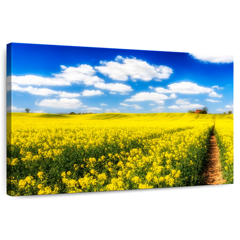 Alvord Flower Field