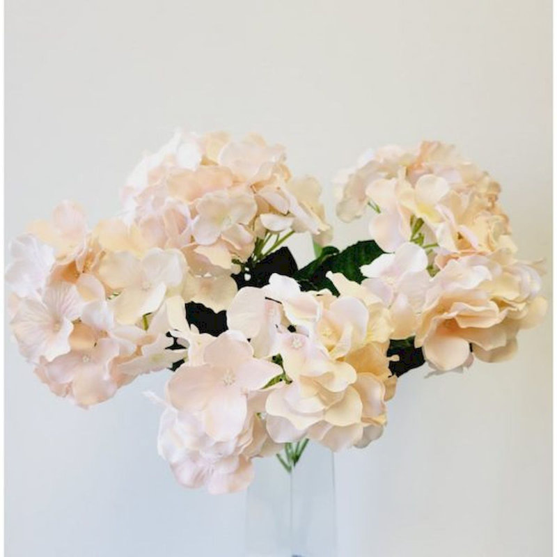 Hortensia, Rose doux / pêche