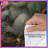 Cute Koala Pair Duvet Covers-126737352