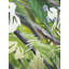 Johnny Creek Panel #5 Print by John Smither-1058980298