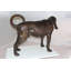 Statue chien Neasa Hound